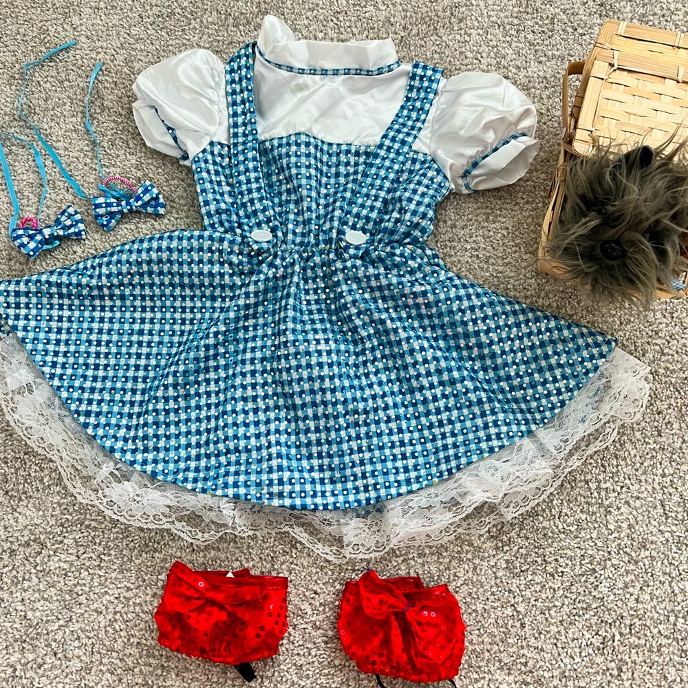 Dorothy costume includes Toto in basket. Like New!